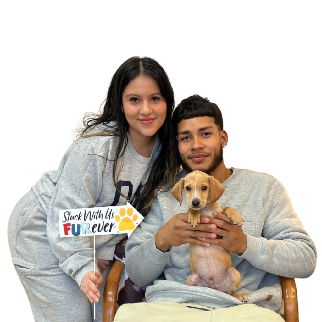 A young couple posing with a small puppy