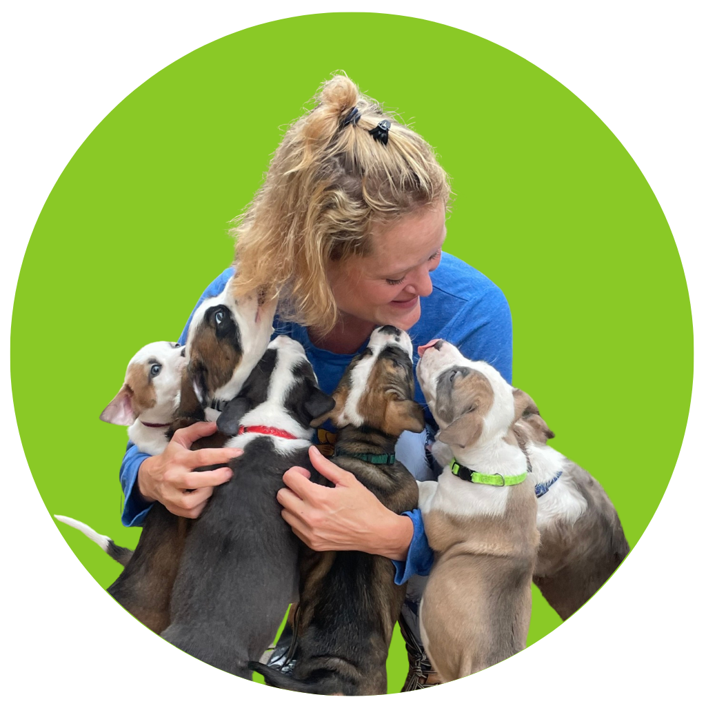 woman hugging a group of puppies
