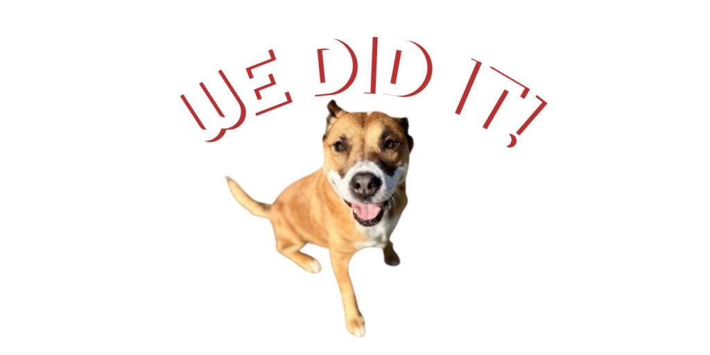 We did it!