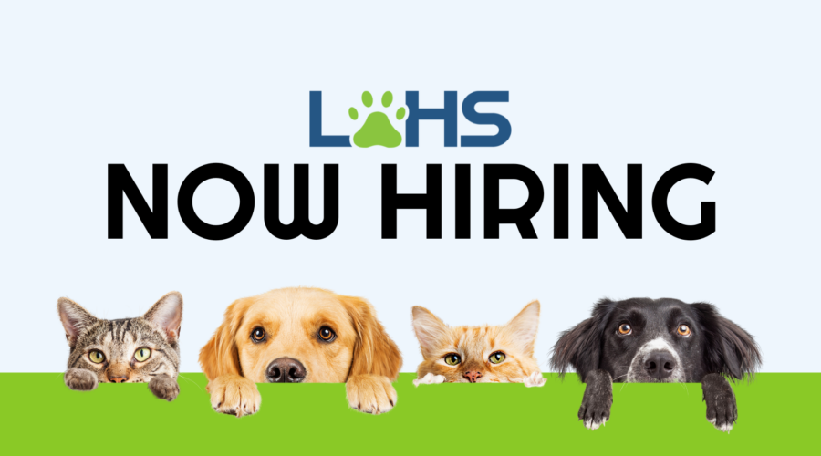 LOHS Now Hiring