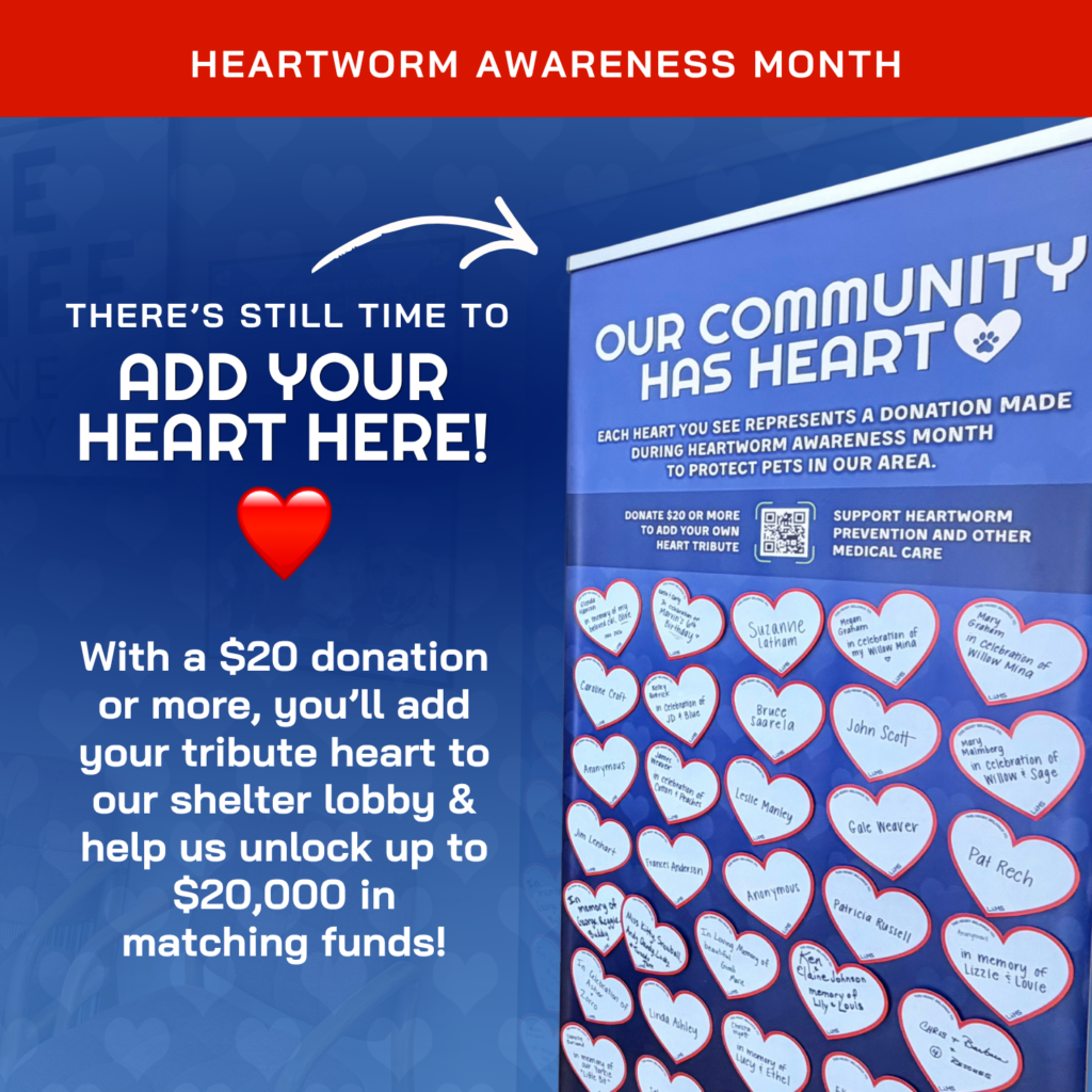 There's still time to Add Your Heart Here! With a $20 donation or more, you’ll add your tribute heart to our shelter lobby & help us unlock up to $20,000 in matching funds!